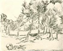 A Group of Pine Trees - Винсент Ван Гог