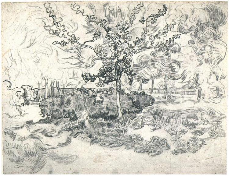 Garden of the Asylum, 1889 - Винсент Ван Гог