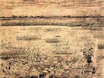 Marsh with Water Lillies - Vincent van Gogh