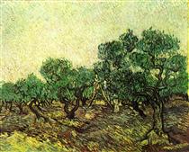 Olive Picking - Vincent van Gogh
