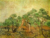 Olive Picking - Vincent van Gogh