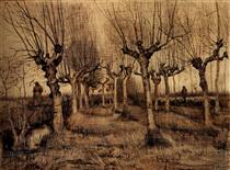 Pollard Birches - Vincent van Gogh