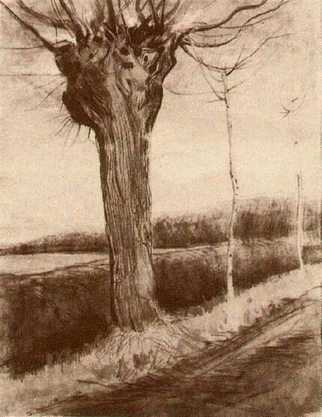 Pollard Willow, 1881 - 梵谷