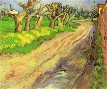 Pollard Willows - Vincent van Gogh