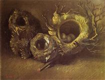 Still Life with Three Birds Nests - Вінсент Ван Гог