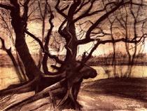 Study of a Tree - Вінсент Ван Гог