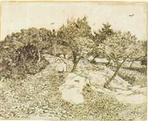 The Olive Trees - Vincent van Gogh