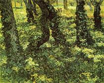 Trunks of Trees with Ivy - Vincent van Gogh