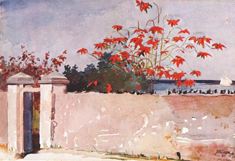 A wall, Nassau, 1898 - Winslow Homer